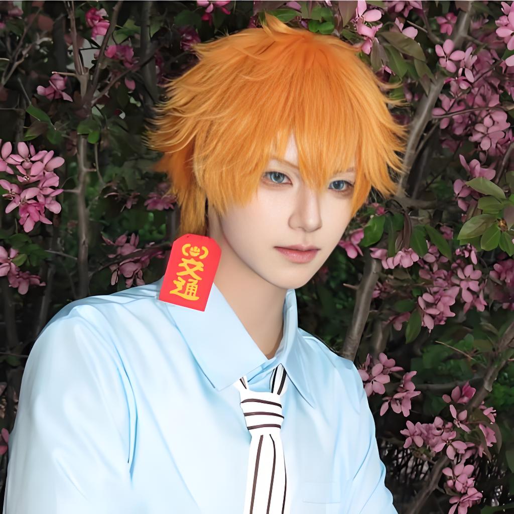 Anime Cosplay Toilet-bound Han - đánh giá và giá Men Accessories Pack