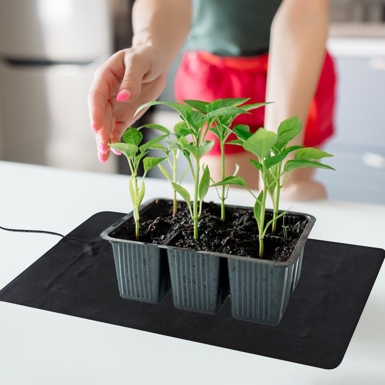 3 Temperature Adjustable Plant - đánh giá và giá Men'S Accessories Tray