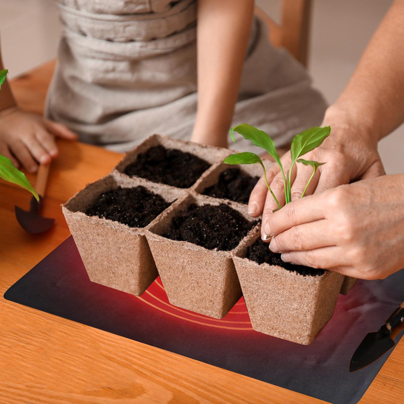 3 Temperature Adjustable Plant - đánh giá và giá Men'S Accessories Tray